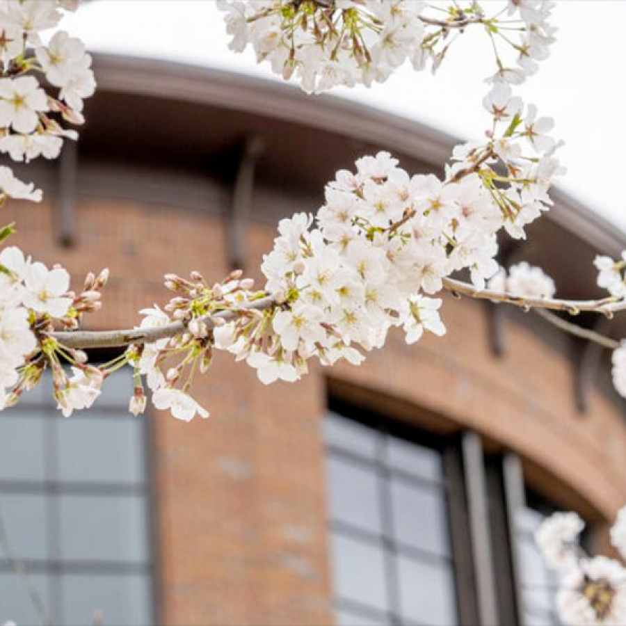 Campus